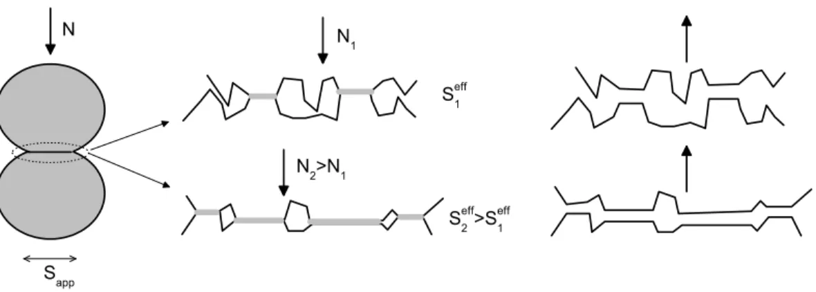 Fig. 2.2  Déformation plastique des aspérités : la surface eective S ef f du contact est
