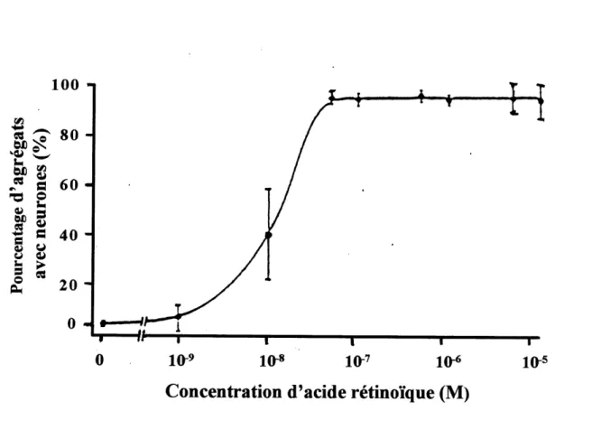 Figure 11 : Relation entre la concentration d'acide retinoique et la difTerenciation en cellules de type neuronal
