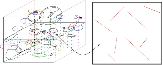 Figure 3.19.Exemple d’état de fissuration 3D étudié et trace des disques dans le plan horizontal 
