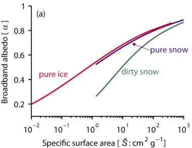 Figure 2. Relation théorique entre l’albédo et la taille des grains de neige (surface spécifique, SSA) pour différents  types de neige (Gardner &amp; Sharp 2010)