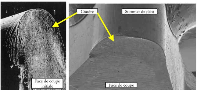 Fig. 2-21 : Images prises au MEB de la cratérisation des faces de coupe d’une dent de fraise-mère en M35, non 