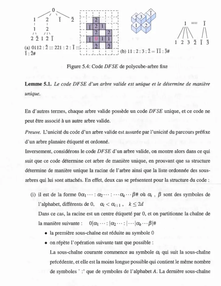 Figure 5.4:  Code DF SE de polycube-arbre fixe 