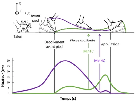 Figure I-24 — Courbe typique d’évolution de la hauteur minimale entre le talon et le sol (en violet) et entre l’avant-pied et le  sol  (en  vert)  au  cours  du  temps  avec  représentation  du  Minimum  Toe  Clearance  (MinTC)  et  du  Minimum  Heel  Clea
