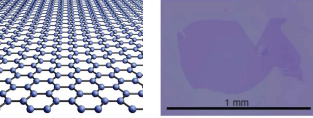Figure 1.1 Left: The structure of graphene; Right: Large graphene pieces placed on SiO 2 wafer 