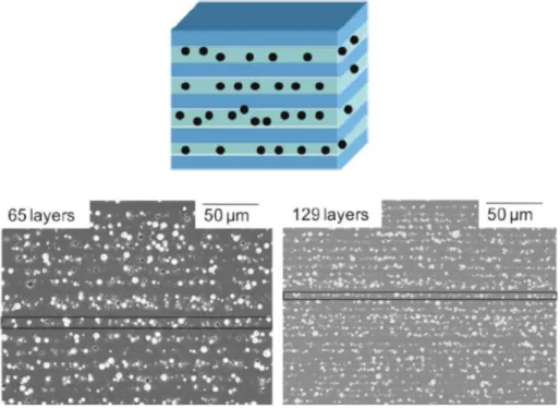 Figure  2.4 Schematic  and  SEM  images  of multilayered  PP/PP  filled  with  phosphate  glass