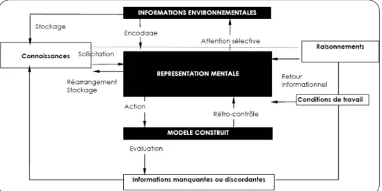 Figure 6: Champ d'observation cognitive (adapté de Rasmussen, 1983) 