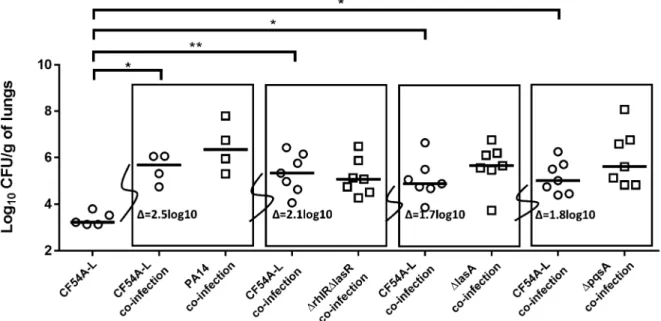 Figure  3.  Mouse  pulmonary  mono  or  co-infections  with  S.  aureus  CF54-L  and  P