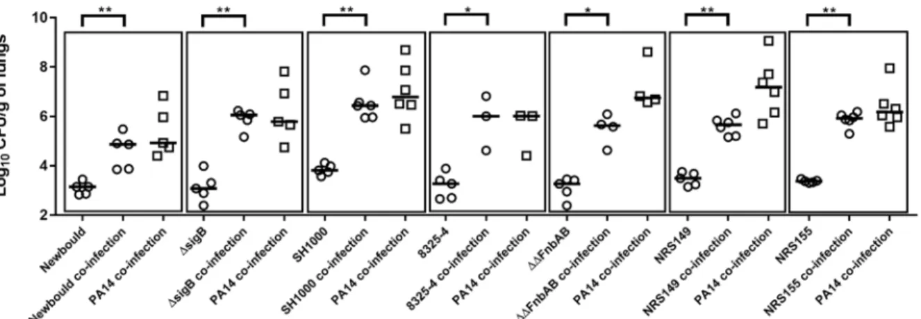 Figure 4. Mono or mixed mouse pulmonary infections with S. aureus virulence mutants 926 