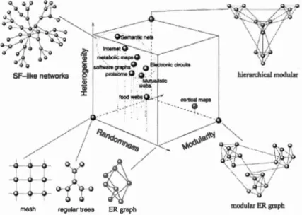 Figure  3.6  Exemple  de  catégorisation  de réseaux  dans un  espace conceptuel  tridimensionnel  (Solé et  Valverde ,  2004 , 