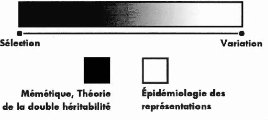 Figure 2.3  Dimension fictive représentant l'influence 