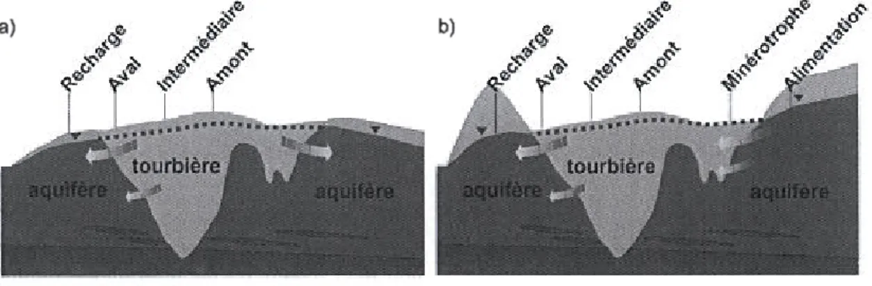 Figure 0.2  Schéma conceptuel montrant les échanges aquifère-tourbière 