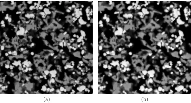 Figure 3.4 – (a) Image I de l’´echantillon IST-29-s obtenue par MEB. (b) Trans- Trans-formation F(I) de l’image originale par filtrage bilat´eral de param`etres σ i = 0.15,