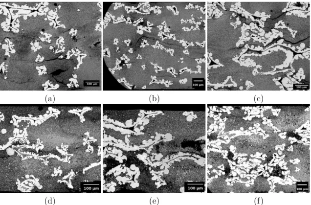 Figure 4.2 – (a) Image de l’´echantillon SF-LST-1 acquis au MEB `a une r´esolution de 0.775 µm/pixel