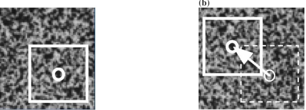 Figure 1.12 : Exemple pour un déplacement de corps rigide du mouchetis (a) image et imagette de  référence et (b) image et imagette déformée à l’instant t