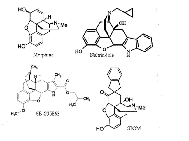 Figure  8.  Ligands  non  peptidiques  selectifs  pour  DOPR  dont  la  structure  s'apparente a celle de la morphine