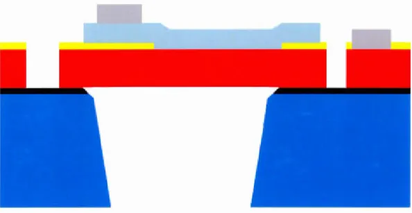 Figure 34:  Vue transversale du procédé PiezoMUMPs  [58[ 