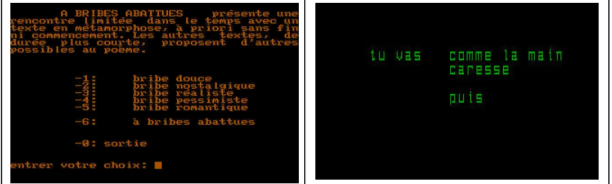 Figure 3 : A bribes abattues : interface initiale et cours de l’animation. 