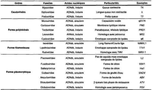 Tableau 1. Aperçu des familles de phages selon l'ICTV 