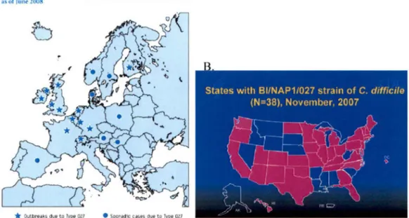 Figure  4.  Distribution  de  la  souche  hypervirulente Bl/NAPl/027 en  2007-2008.  A