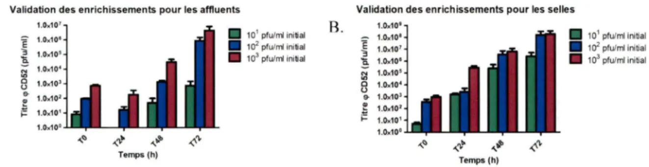 Figure  11.  Validation  de  la  méthode  d'enrichissement.  Des  quantités 