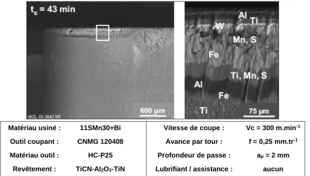 Figure 30 – Présence de dépôts de MnS en face de dépouille (Essel, 2006). 