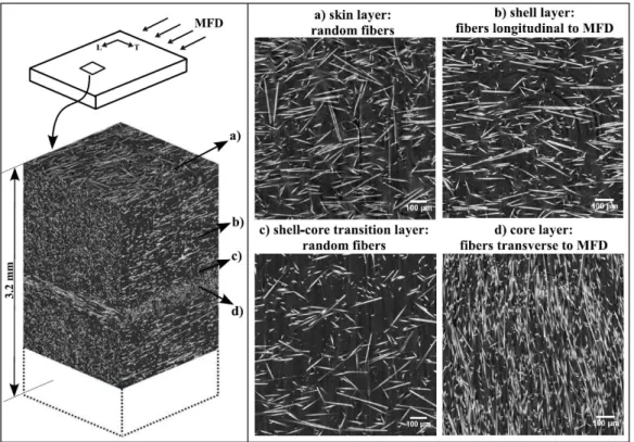 Figure I.12 – Observation par µCT de la microstructure du PA66-GF30 [8]. 