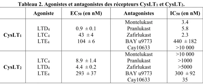 Tableau 2. Agonistes et antagonistes des récepteurs CysLT1 et CysLT2.  Agoniste  EC50 (en nM)  Antagonistes  IC50 (en nM) 
