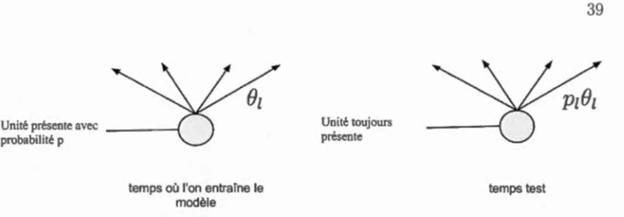 Figure  2.4 :  À  gauche ,  on  a  une  unité  présente  avec  un e  probabili té  p 1  connectée  aux unités  de  l a  co u c h e supérieure  par  un  vecteur  de poids  B 1