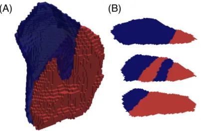 Figure 1.12: 3D reconstruction of a twinned grain in a pure nickel microstructure using High Energy X-ray Diffraction Microscopy (HEDM) reproduced from [59]