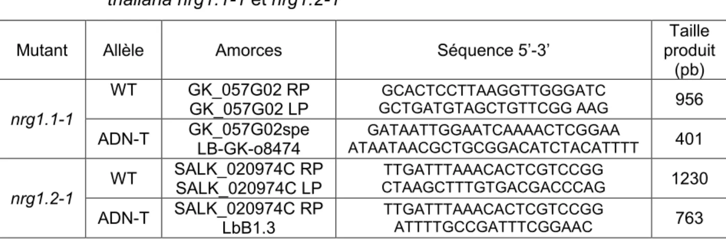 Tableau 2.2 Amorces PCR utilisées pour l’amplification des allèles sauvages (WT) et 