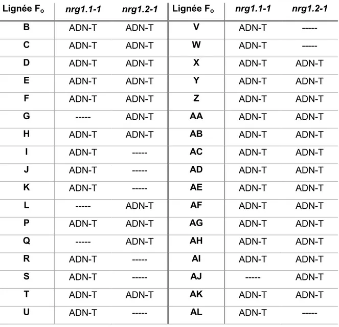 Tableau  3.1  Génotype  des  34  potentiels  doubles  mutants  nrg1  F 0  Sul R Kan R