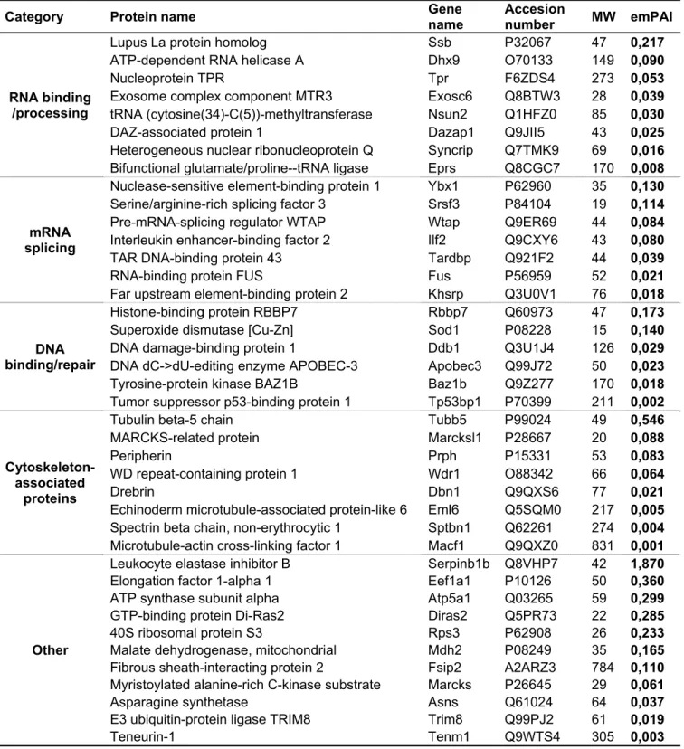 Table S6: Fam172a interacting proteins in the nucleoplasm fraction of Neuro2a cells 