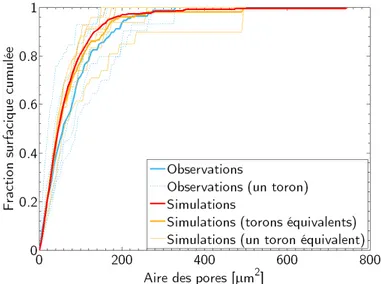 Figure I.18 – Fraction surfacique cumulée de porosité en fonction de la surface des pores