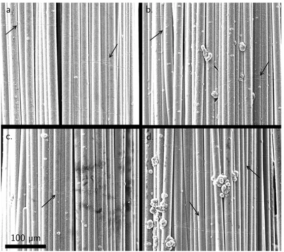 Figure II.5 – Exemple de fissures atypiques observées après attaque Murakami sur les éprouvettes d’essai macroscopiques