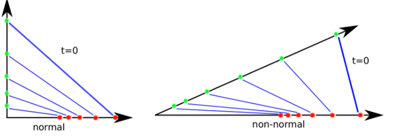 Figure II.4: Geometrical interpretation of the transient growth. Example from ( Schmid and Brandt , 2014 ).
