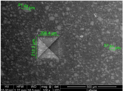 Figure 4.1: Scanning electron microscopy picture of the surface of an indented cement sample.