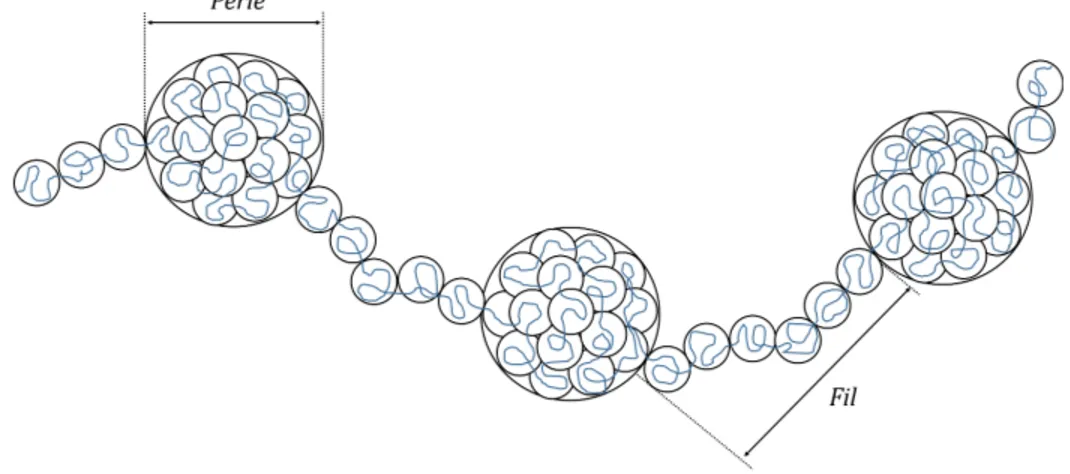 Figure 1.4 – Représentation schématique d’un polyélectrolyte fortement chargé en mauvais solvant adoptant une conformation en collier de perles.