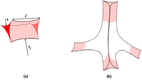 Figure 1.3 – (a) Schéma d’un bord de Plateau. (b) Schéma d’un vertex prolongé de quatre bords de Plateau en rose.