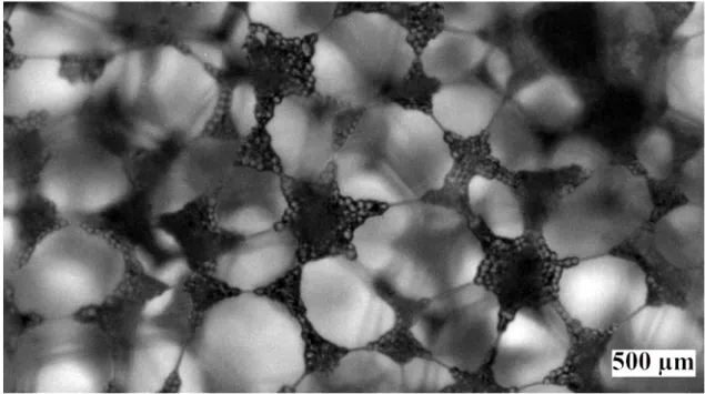 Figure 3.2 – Une mousse chargée après plusieurs heures de mûrissement. Initialement : D b = 250 µm, d p = 40 µm.