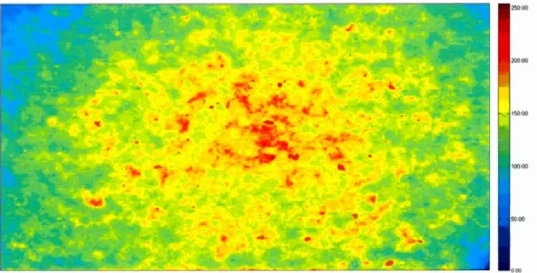 Fig u re  1.2  Non - smoothed  foreground  (non-uniformity  bias)  for  images  of a  single  (96-well  x  4-field)  HCS  plate  of microtubule  polymerization  status  generated  in  the  HCS  laboratory  of  McGill  University  is  shown