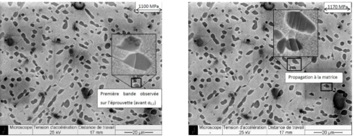 Figure 1.30 – Confinement des dislocations dans la phase β du Ti5553, MET [ Escalé, 2012 ].