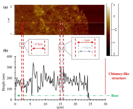 Figure 1.11: (a): AFM surface images of the top-surface of Syn -20 ◦ C ; (b): corresponding AFM height profile along the orange solid line