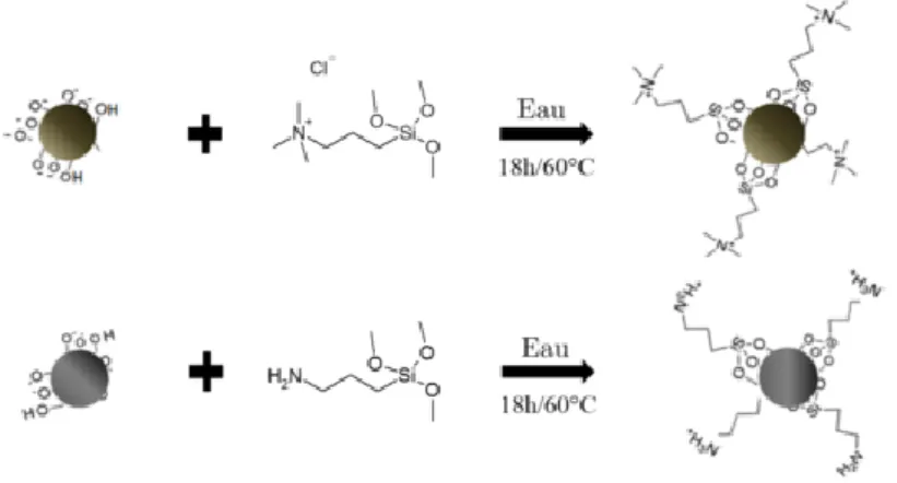 Figure 1.13 : Réactions de silanisation pour la fonctionnalisation des nanoparticules SiOH