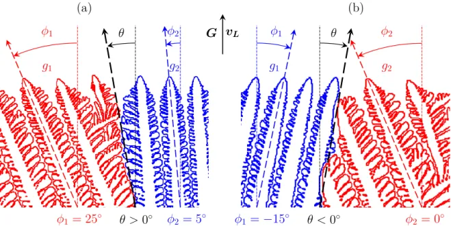 Figure III.1 – Calculs champ de phase modélisant la compétition de croissance dendritique