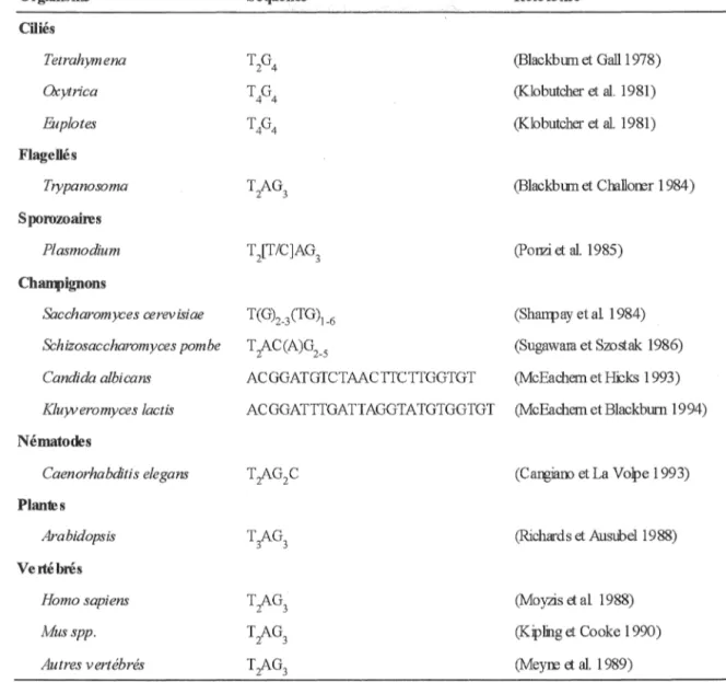 Table au 1 : nature des répétitions télornériqœs chez différents organismes (adapté de Henderson, 1995) 