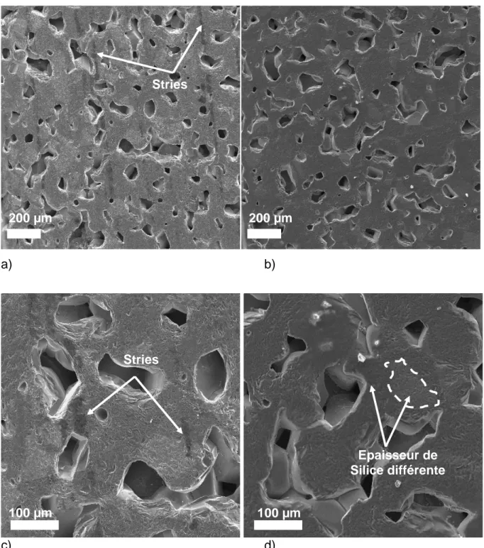 Figure II.14 : Clichés MEB d'un échantillon de Carbure de Silicium  a) Non traité, x 70 