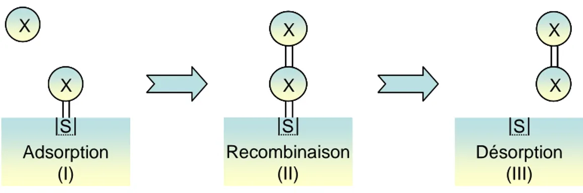Figure I.7 : Schéma des processus de recombinaison de type Eley-Rideal 