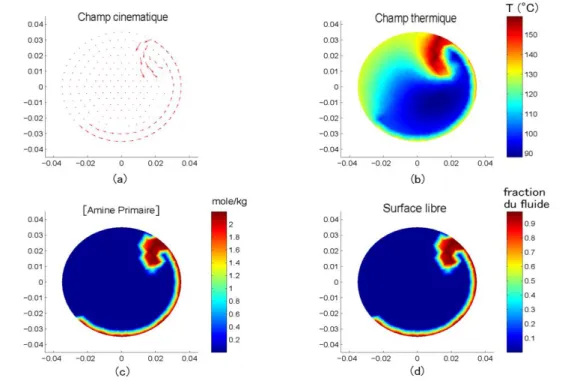 Figure 5: Simulation 2D du rotomoulage réactif par la méthode des volumes finis pour une 