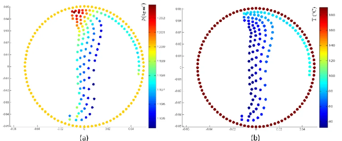 Figure 6 : Simulation 2D du rotomoulage réactif par la méthode SPH : variation de la masse 