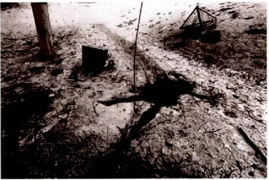 Figure  0.4  Stan l ey  Greene , Grozny,  C h ec hn ya,  1995 ,  1995 . 